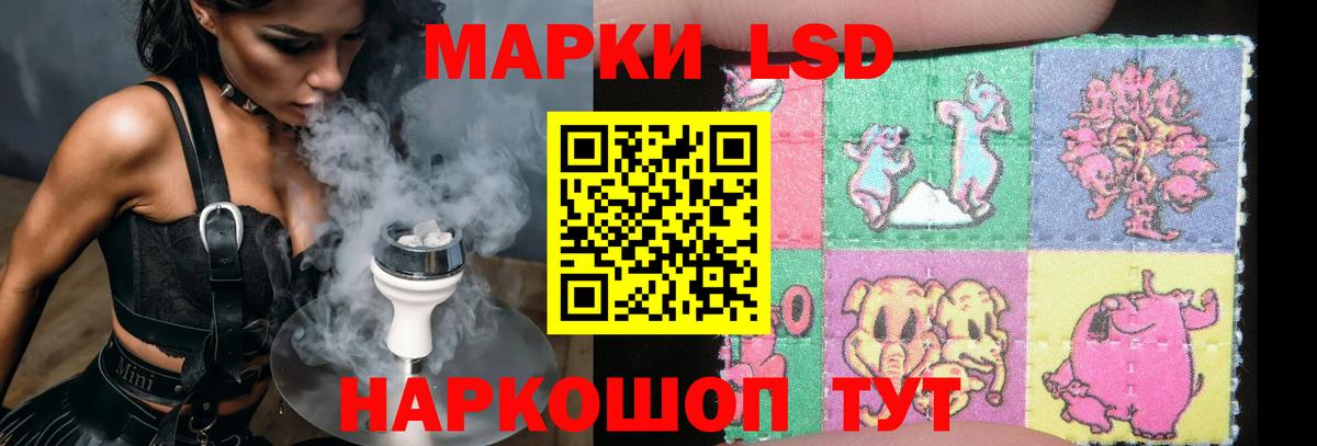 ЛСД экстази ecstasy  ЛСД экстази ecstasy  Вход с VPN  LSD-25 экстази  Бердск 