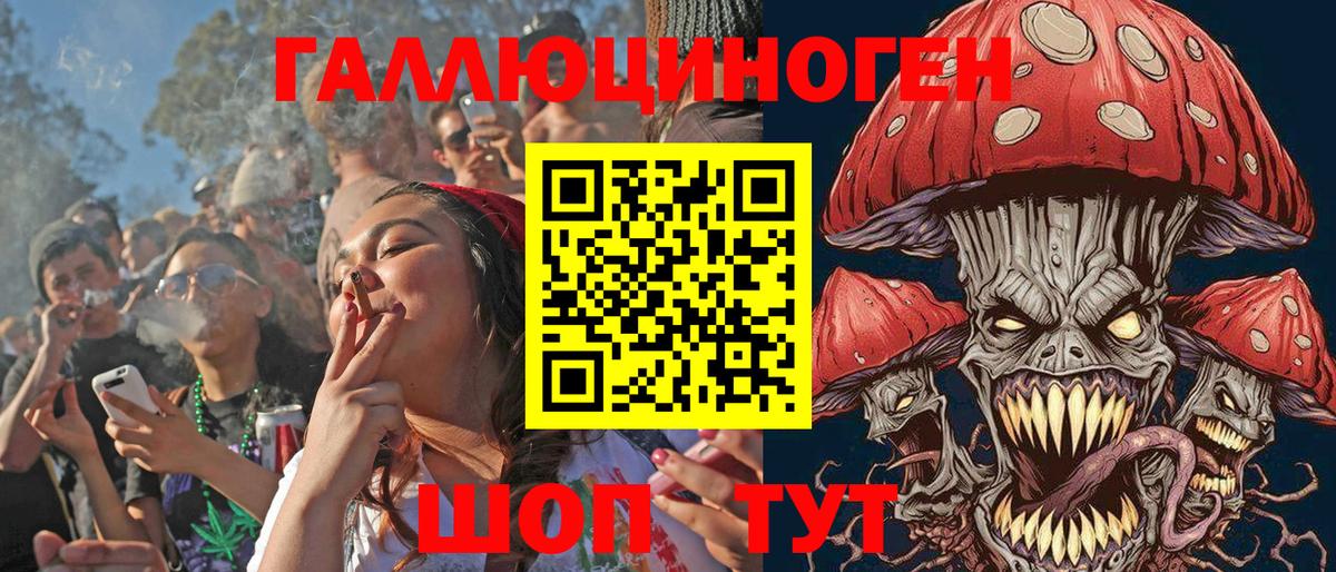 Псилоцибиновые грибы мицелий  Вход с VPN  Бердск 